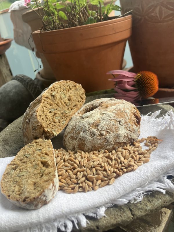 pureVEGAN cooking Class - Maria M. MARA Dendera Medicine Ancient Egypt Medicine – Bild 3